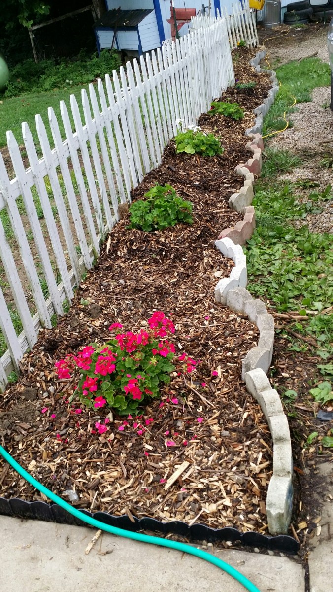 20140719_163310.jpg image