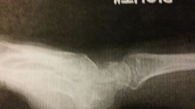 20140724_194119.jpg image