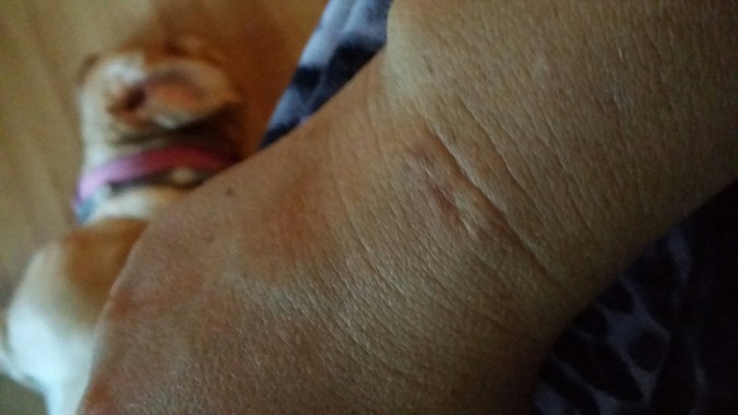 20140724_194913.jpg image