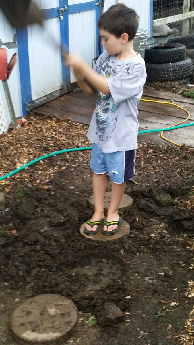 20140726_202236.jpg image