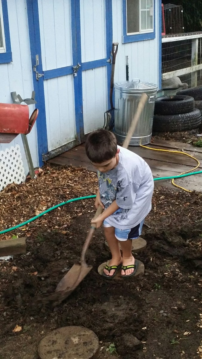 20140726_202304.jpg image