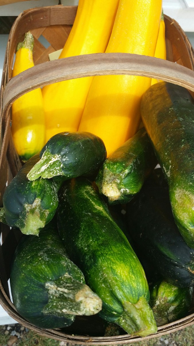 20140802_120258.jpg image