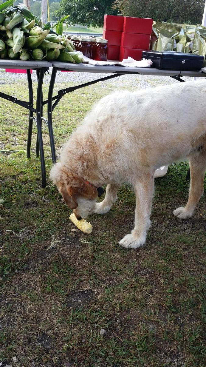 2014080995091410.jpg image