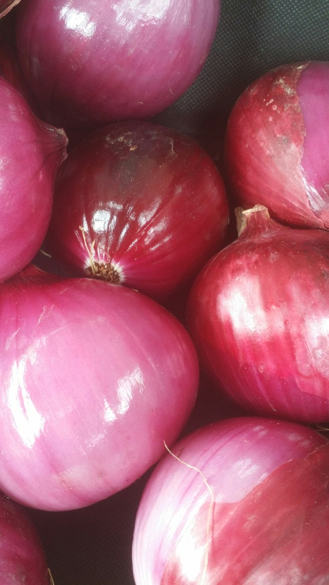 20140809_131125.jpg image