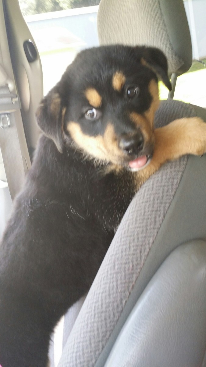 20150721_151634.jpg image