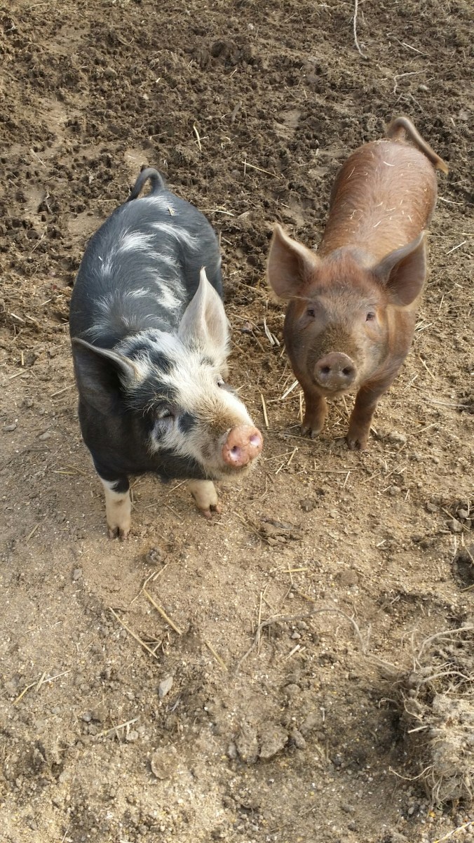 20160104_105706.jpg image