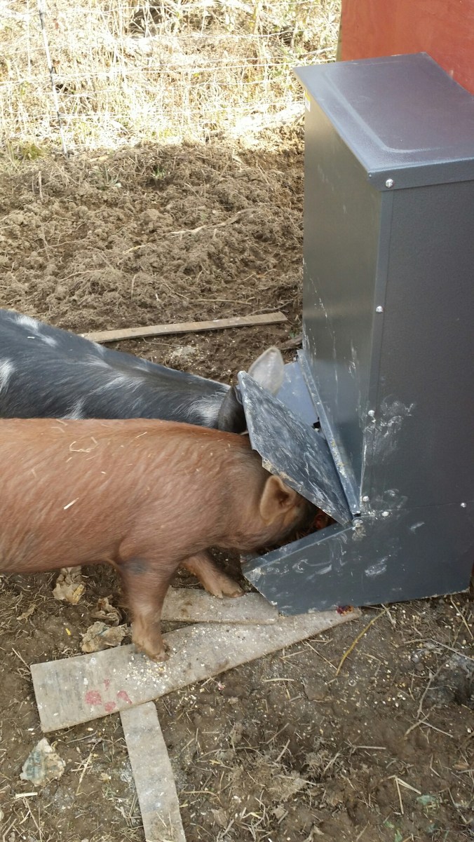 20160104_105745.jpg image