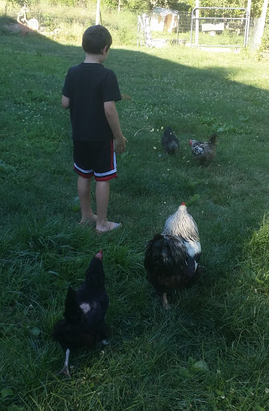 Jake hens 2